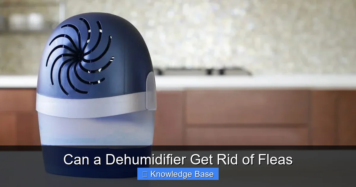 Can a Dehumidifier Get Rid of Fleas