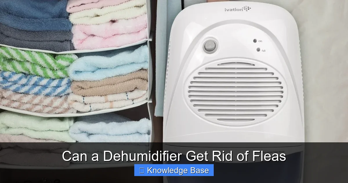 Can a Dehumidifier Get Rid of Fleas