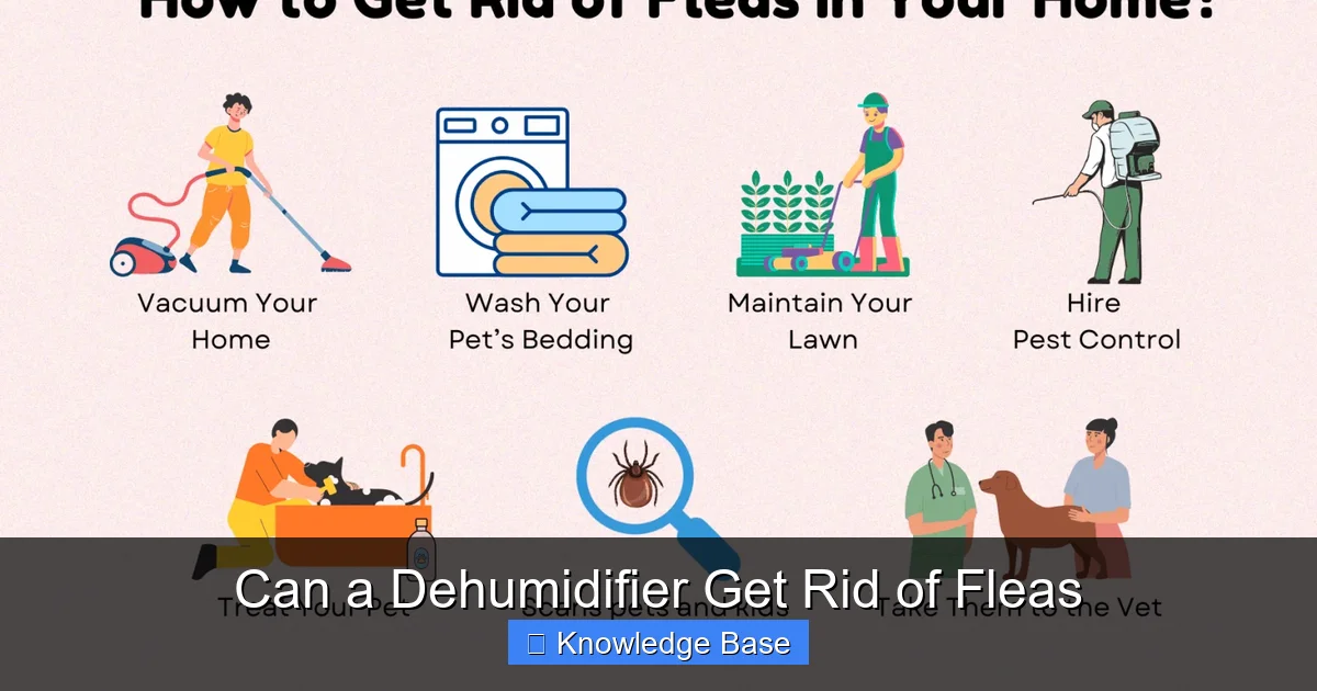 Can a Dehumidifier Get Rid of Fleas