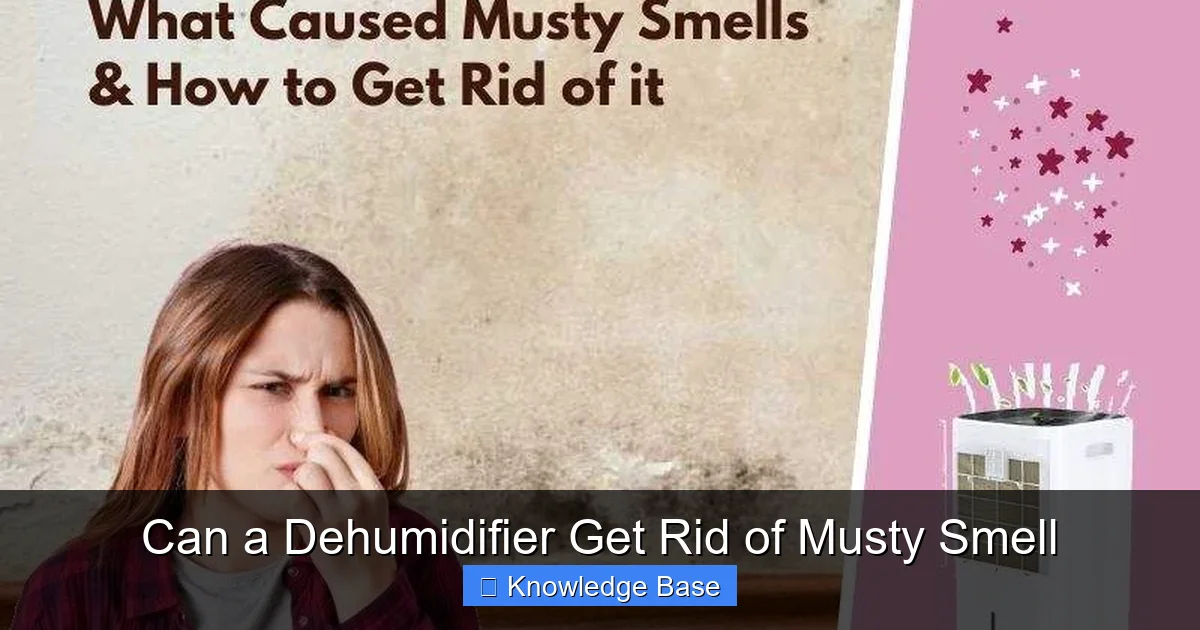 Can a Dehumidifier Get Rid of Musty Smell