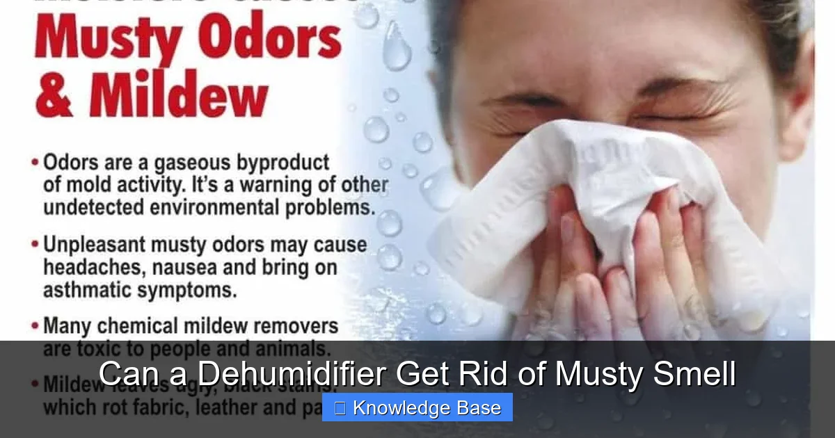 Can a Dehumidifier Get Rid of Musty Smell