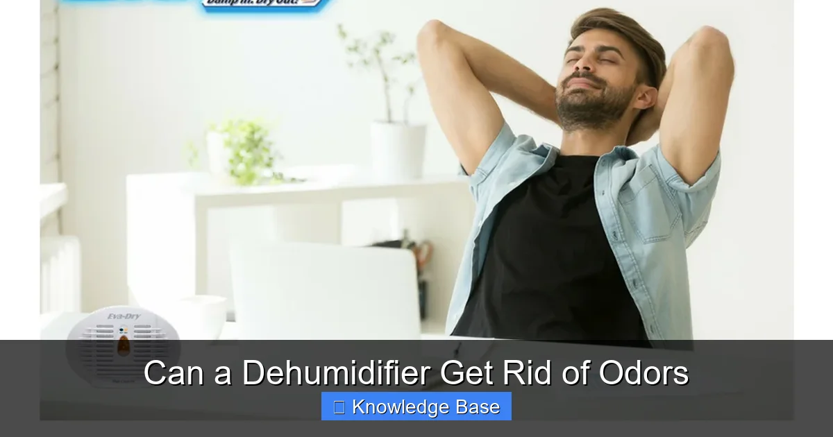 Can a Dehumidifier Get Rid of Odors