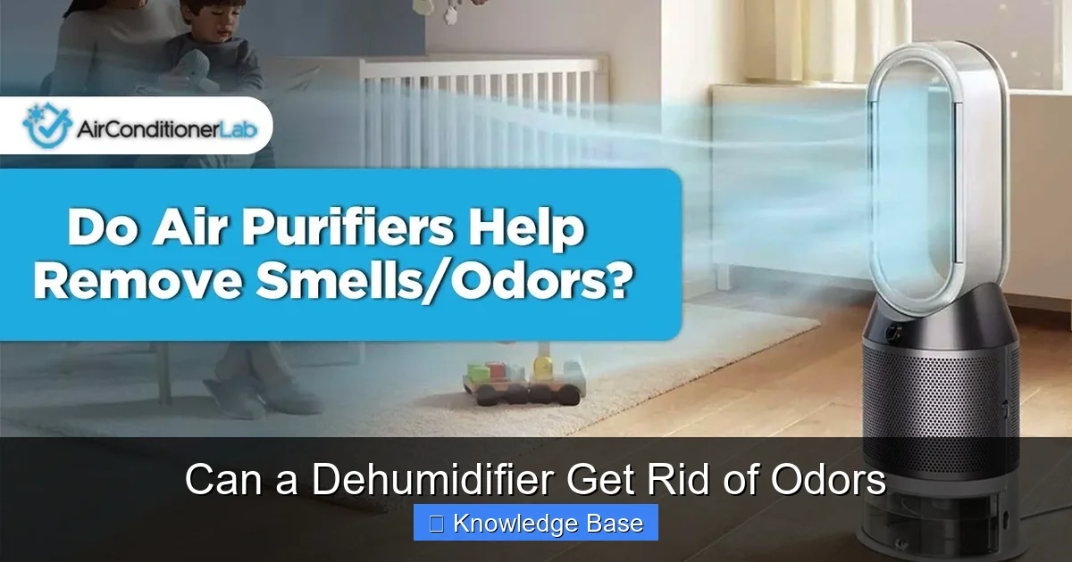 Can a Dehumidifier Get Rid of Odors