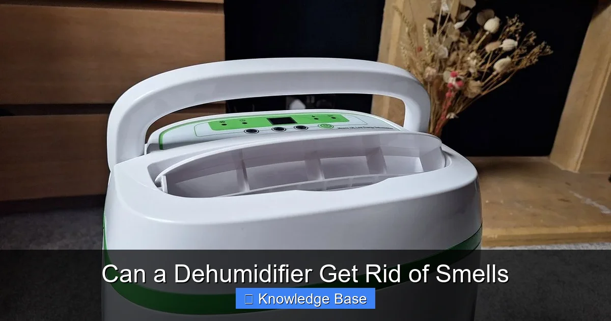 Can a Dehumidifier Get Rid of Smells