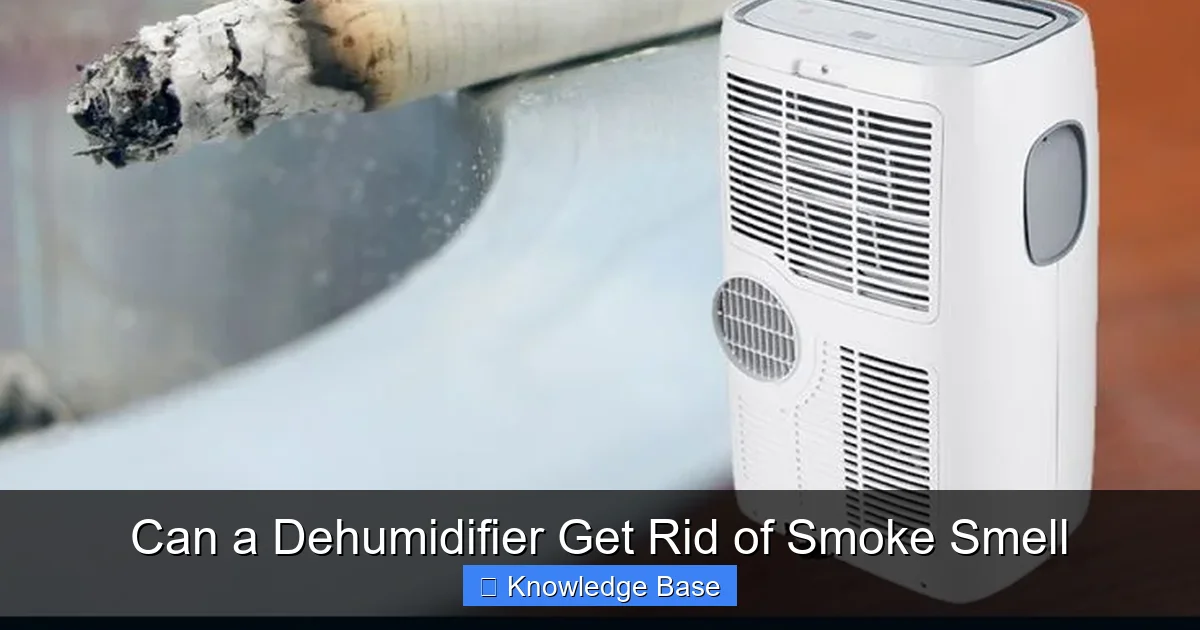 Can a Dehumidifier Get Rid of Smoke Smell