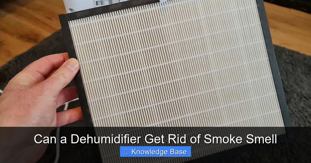 Can a Dehumidifier Get Rid of Smoke Smell