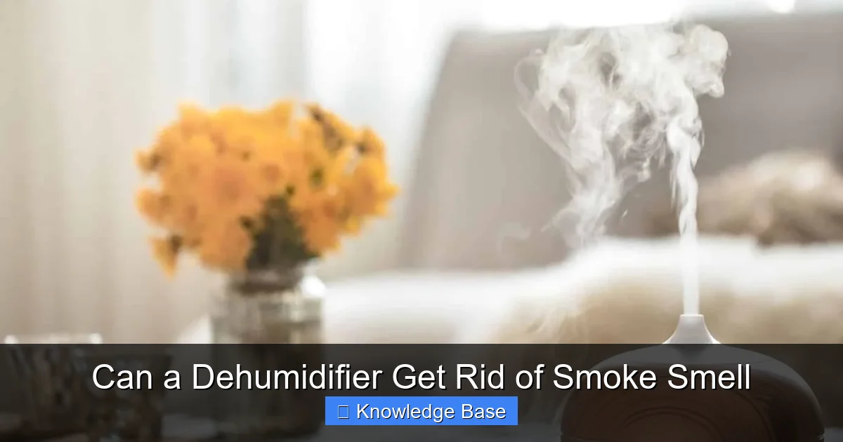 Can a Dehumidifier Get Rid of Smoke Smell