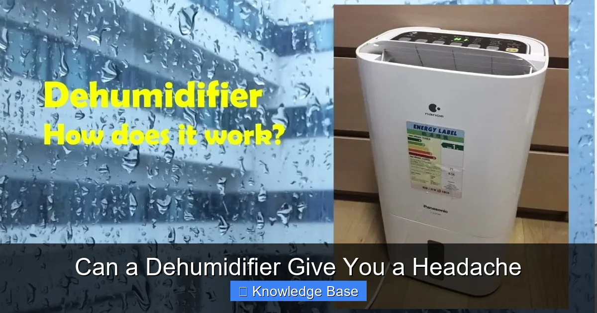 Can a Dehumidifier Give You a Headache