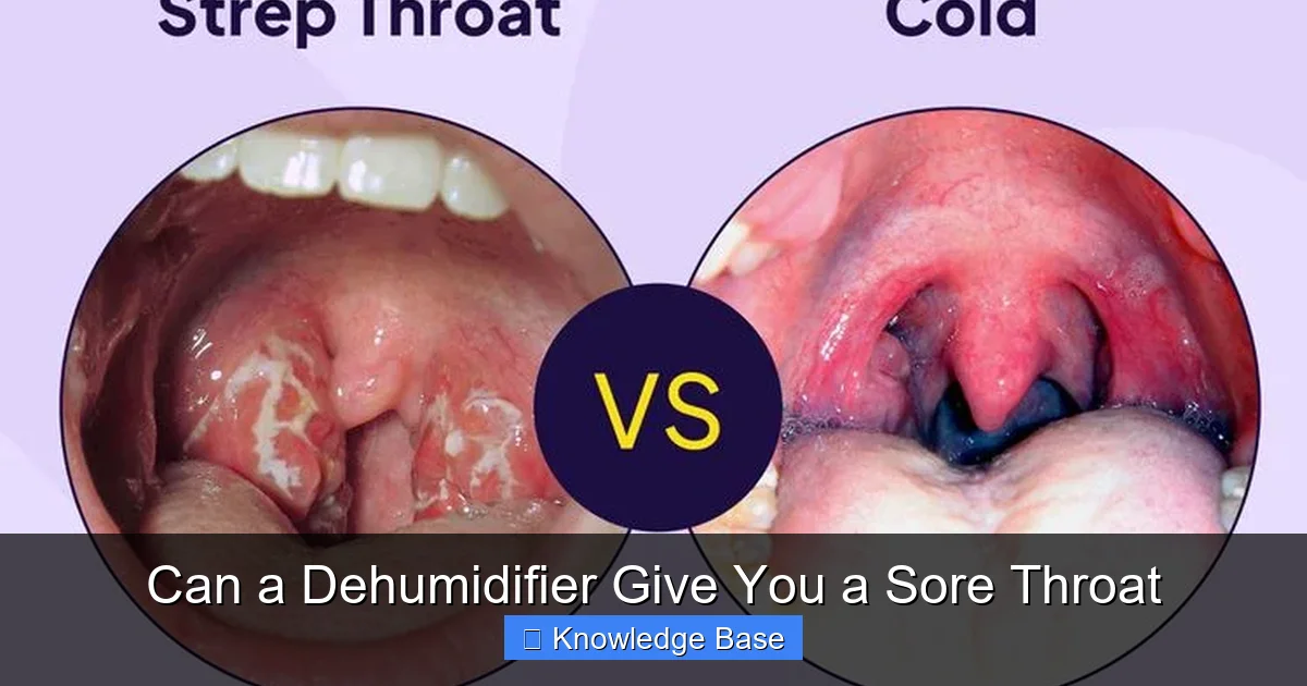 Can a Dehumidifier Give You a Sore Throat