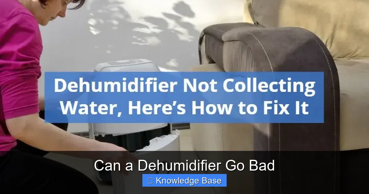 Can a Dehumidifier Go Bad