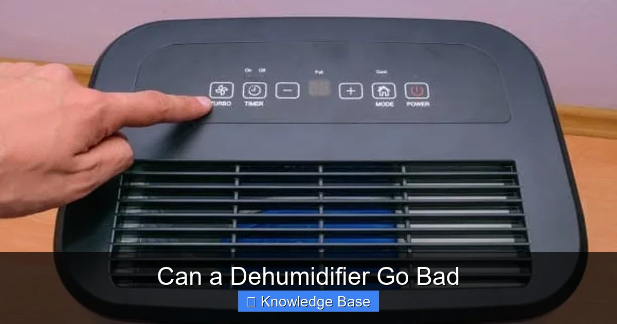 Can a Dehumidifier Go Bad