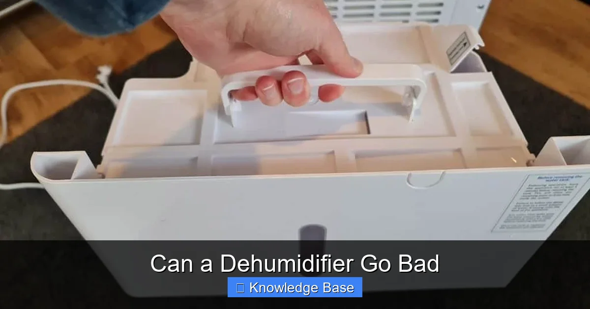 Can a Dehumidifier Go Bad