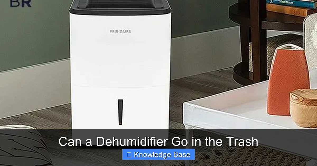 Can a Dehumidifier Go in the Trash