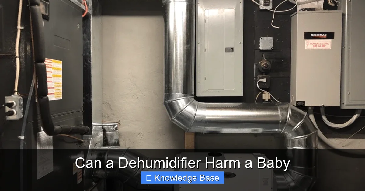 Can a Dehumidifier Harm a Baby