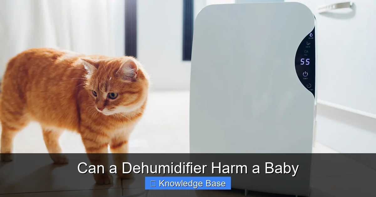 Can a Dehumidifier Harm a Baby