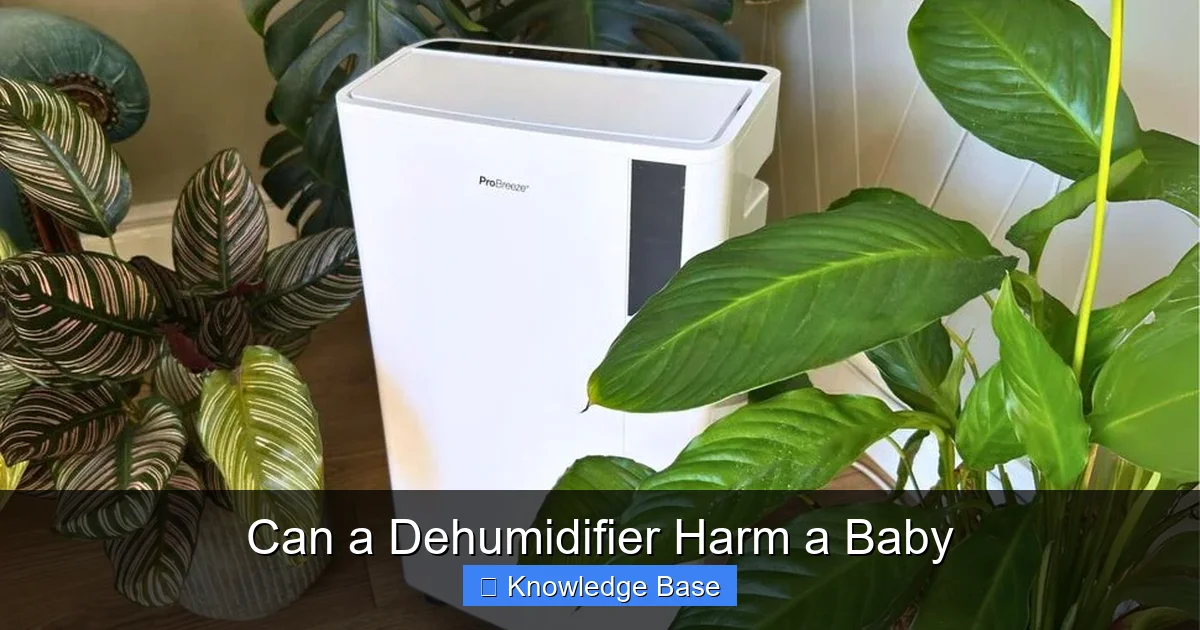 Can a Dehumidifier Harm a Baby