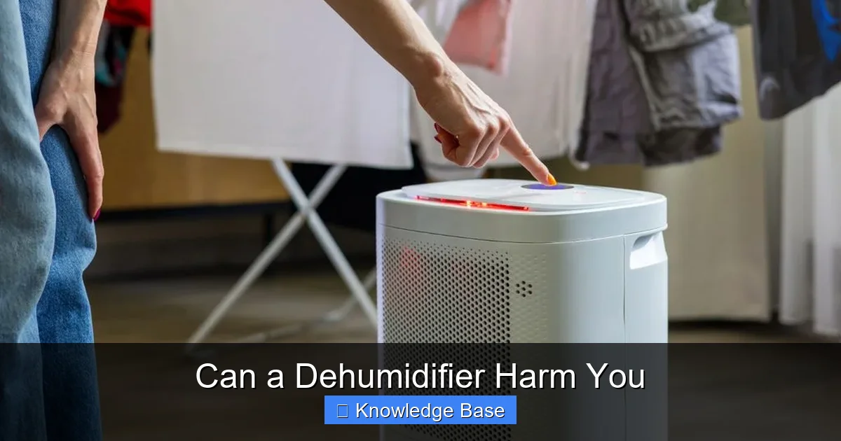 Can a Dehumidifier Harm You