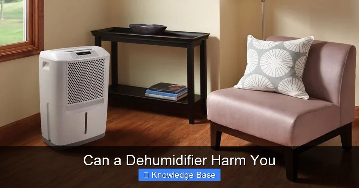 Can a Dehumidifier Harm You