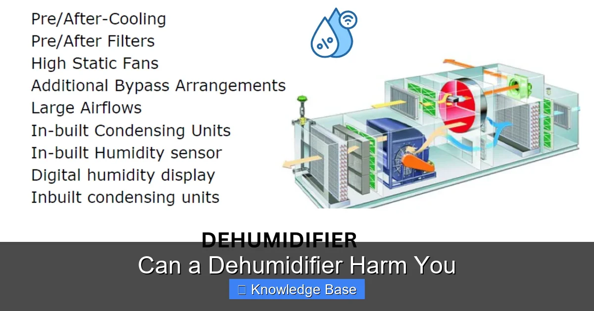 Can a Dehumidifier Harm You