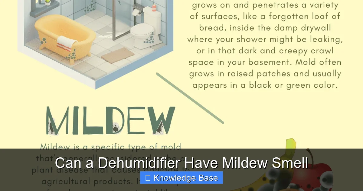 Can a Dehumidifier Have Mildew Smell