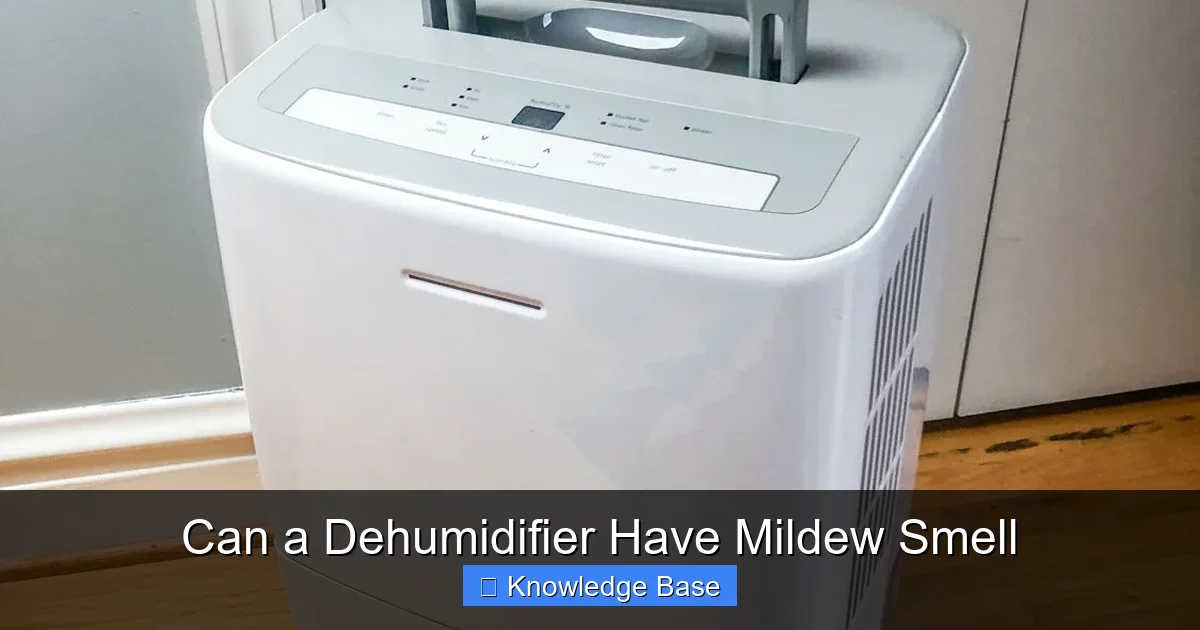 Can a Dehumidifier Have Mildew Smell