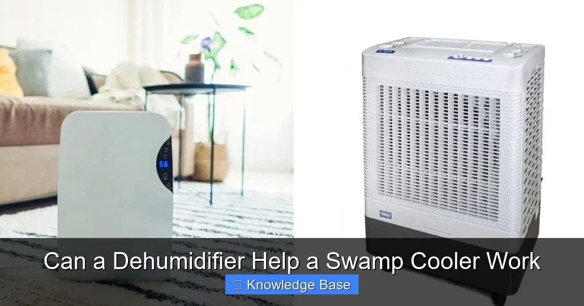 Can a Dehumidifier Help a Swamp Cooler Work