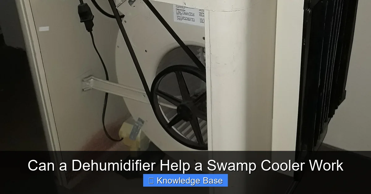 Can a Dehumidifier Help a Swamp Cooler Work