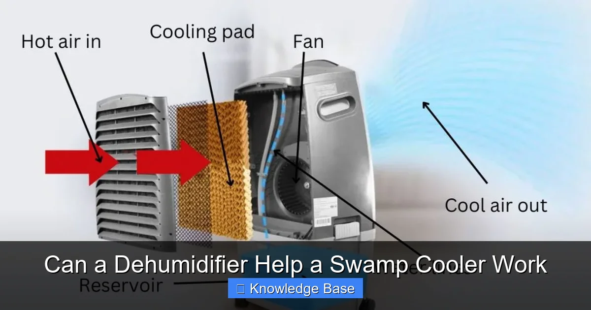 Can a Dehumidifier Help a Swamp Cooler Work