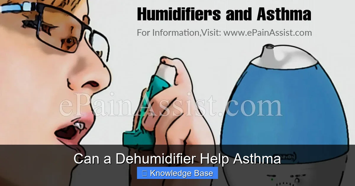 Can a Dehumidifier Help Asthma
