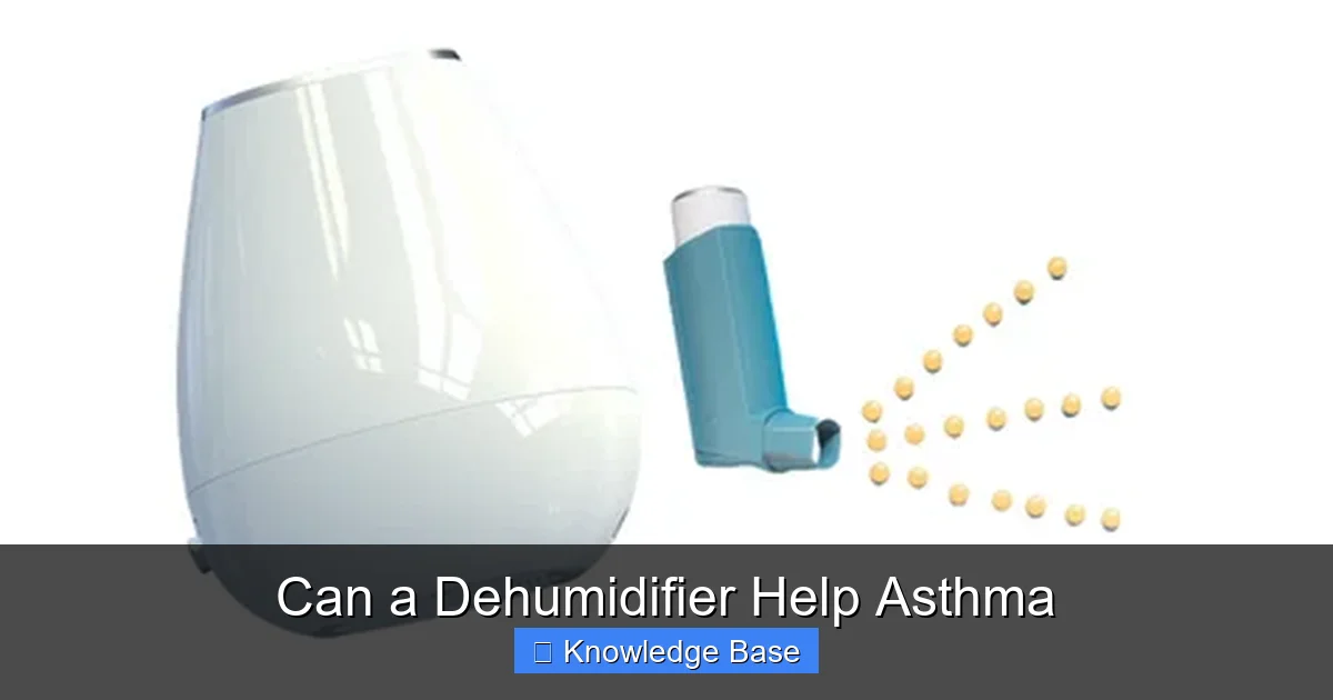 Can a Dehumidifier Help Asthma