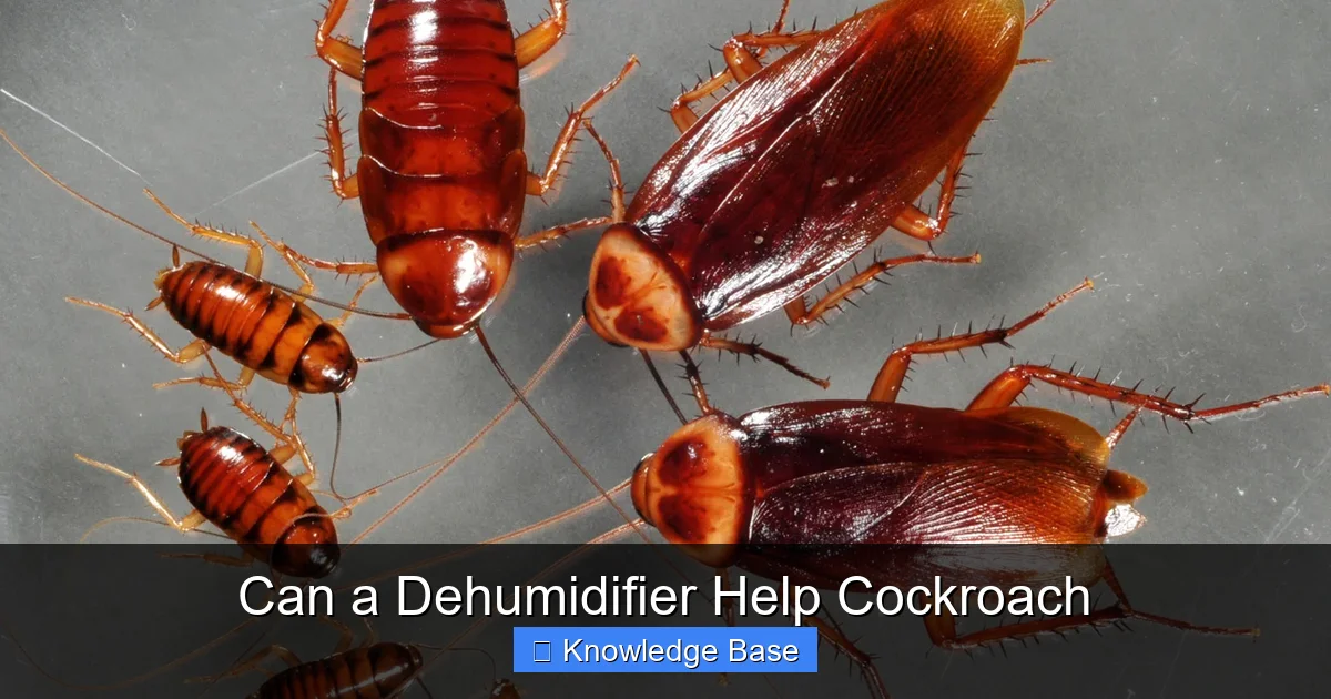Can a Dehumidifier Help Cockroach