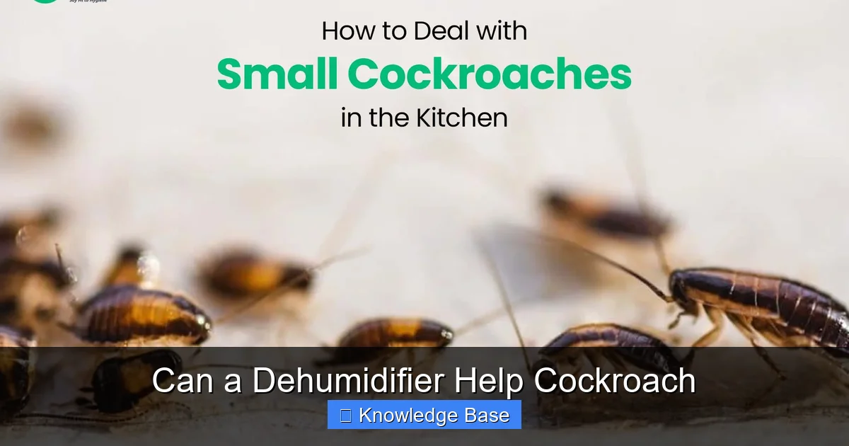 Can a Dehumidifier Help Cockroach
