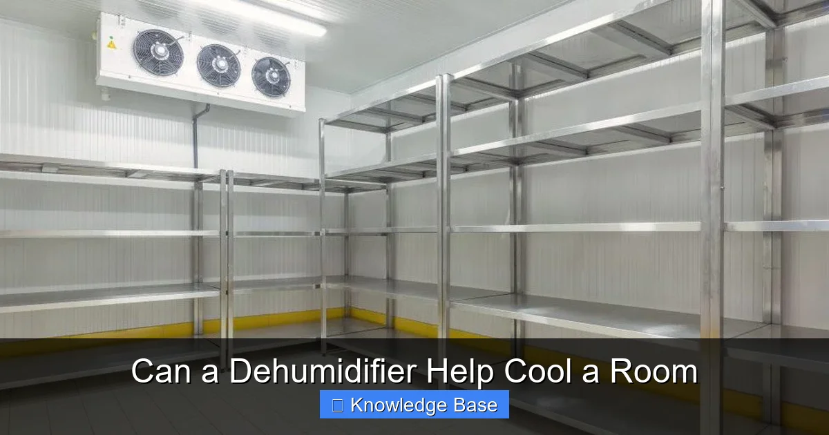 Can a Dehumidifier Help Cool a Room