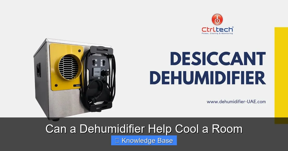 Can a Dehumidifier Help Cool a Room