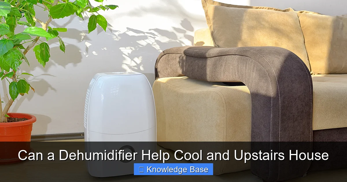 Can a Dehumidifier Help Cool and Upstairs House