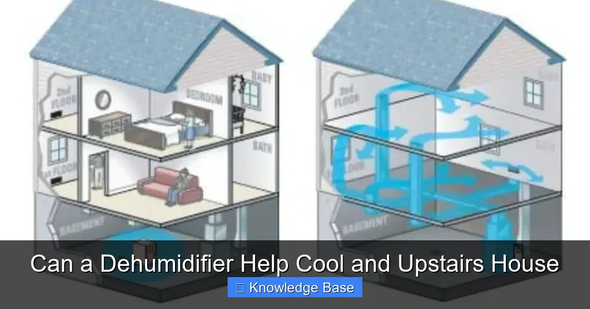 Can a Dehumidifier Help Cool and Upstairs House