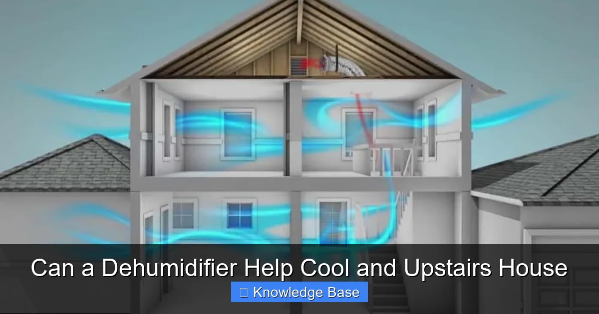 Can a Dehumidifier Help Cool and Upstairs House