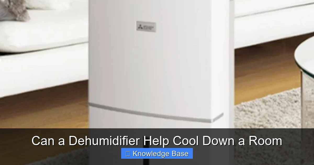 Can a Dehumidifier Help Cool Down a Room