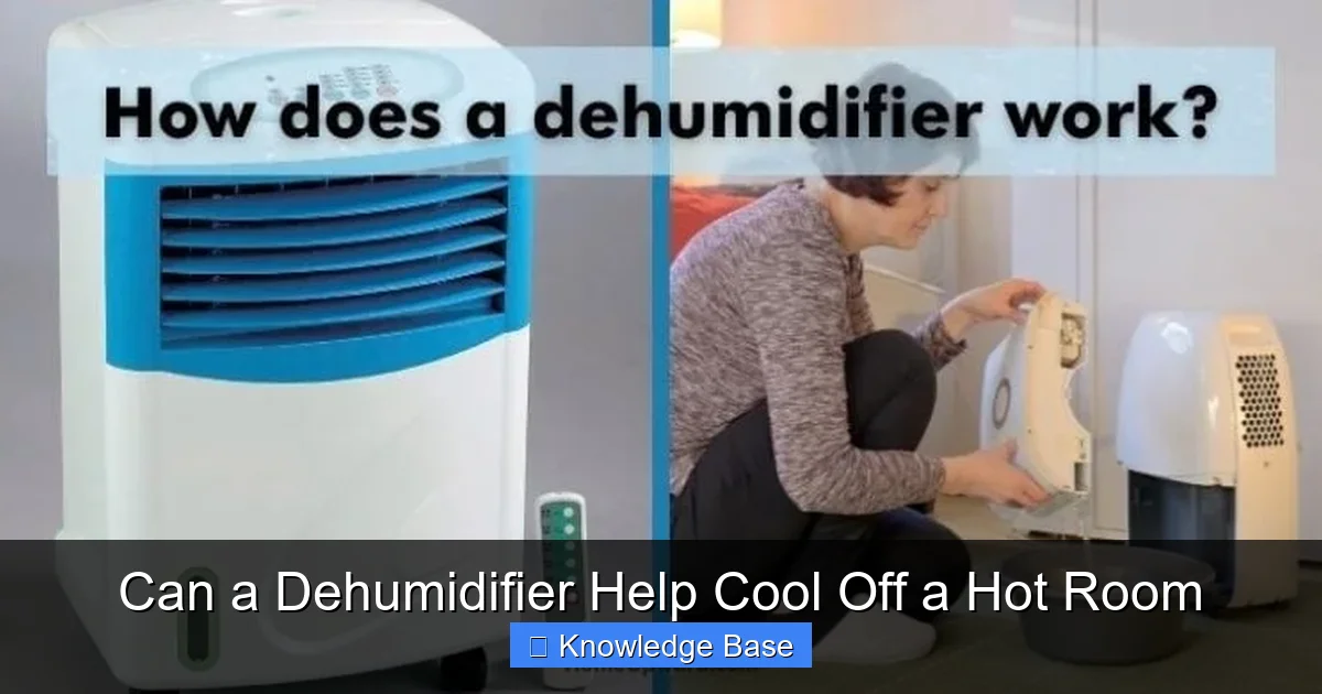 Can a Dehumidifier Help Cool Off a Hot Room