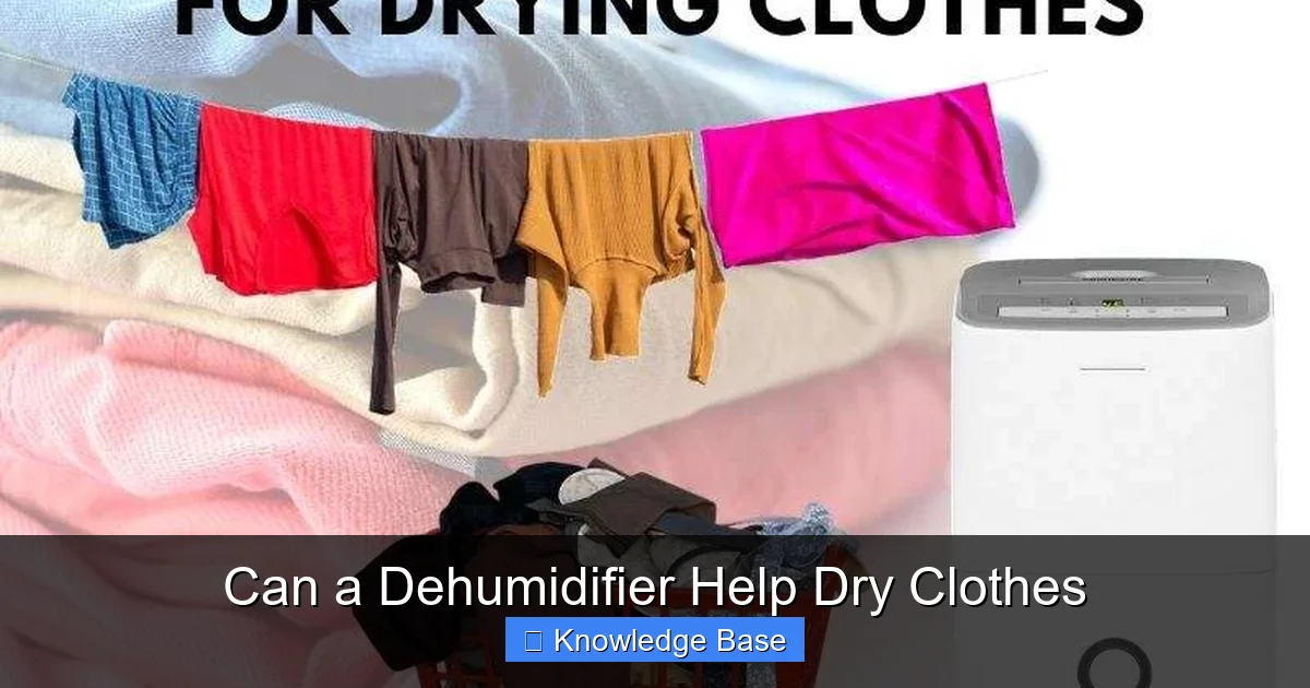 Can a Dehumidifier Help Dry Clothes