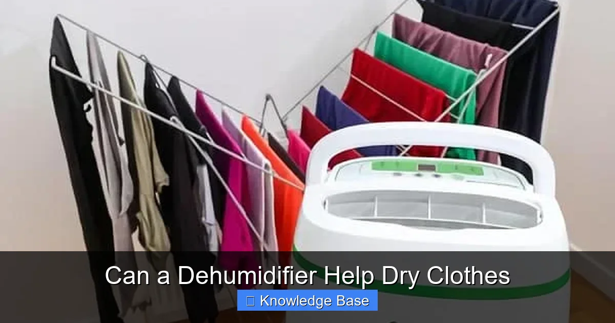 Can a Dehumidifier Help Dry Clothes