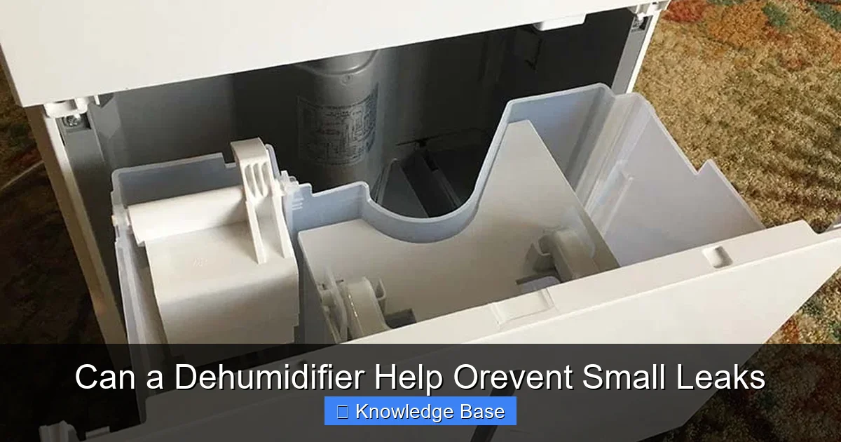 Can a Dehumidifier Help Orevent Small Leaks