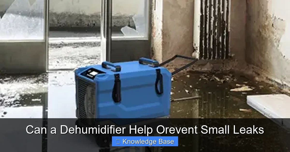 Can a Dehumidifier Help Orevent Small Leaks