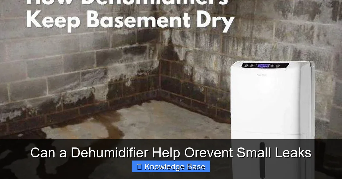 Can a Dehumidifier Help Orevent Small Leaks