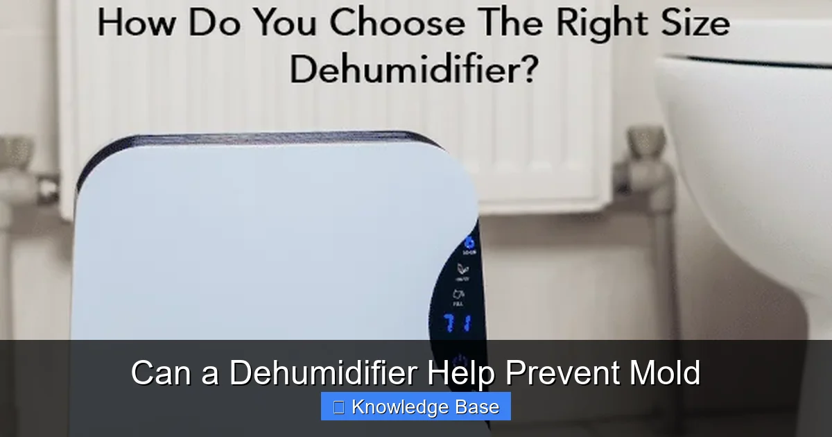 Can a Dehumidifier Help Prevent Mold