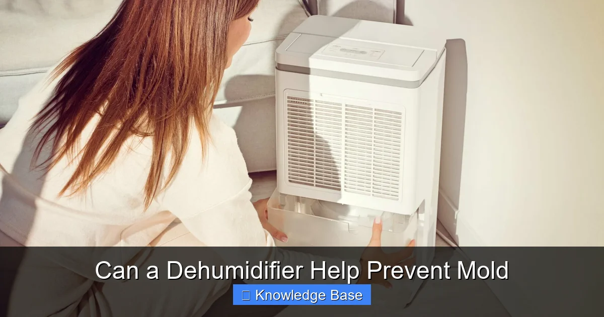 Can a Dehumidifier Help Prevent Mold