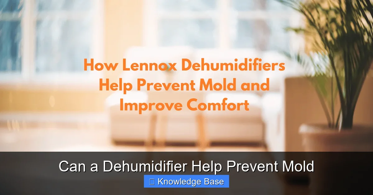 Can a Dehumidifier Help Prevent Mold