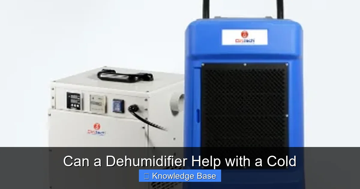 Can a Dehumidifier Help with a Cold