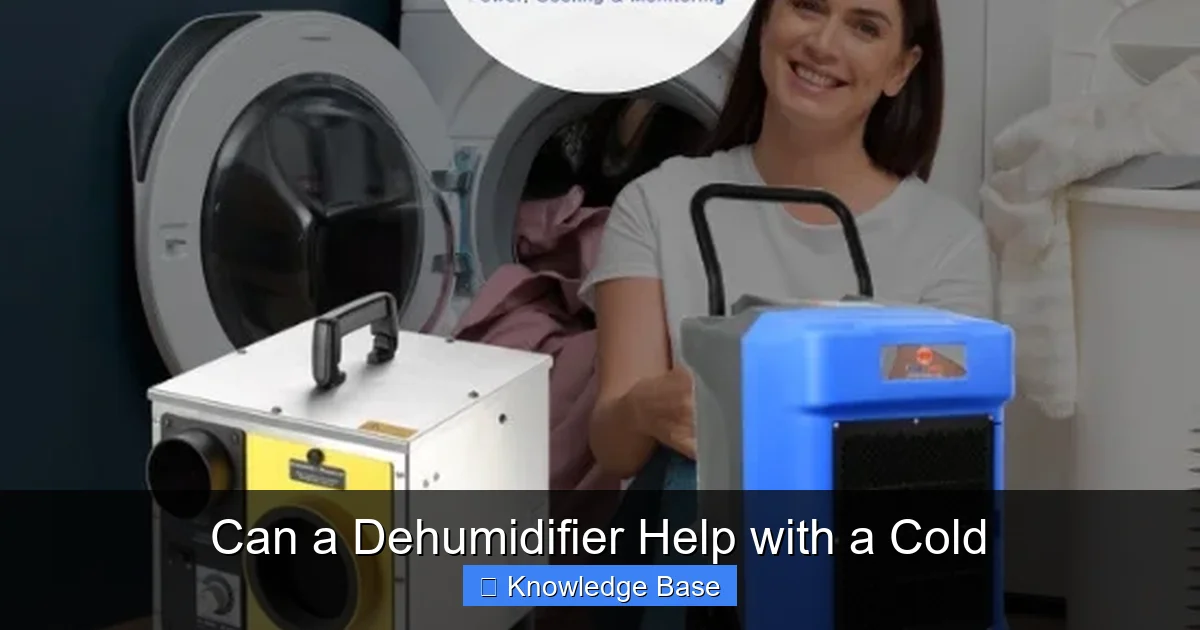 Can a Dehumidifier Help with a Cold