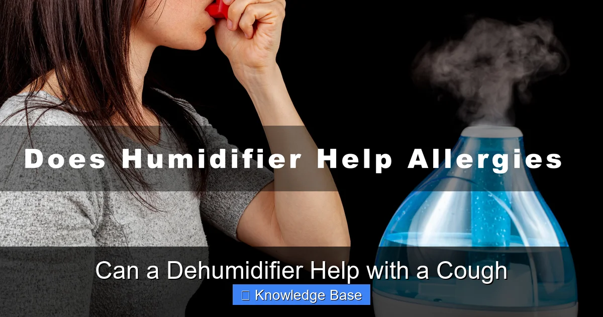 Can a Dehumidifier Help with a Cough